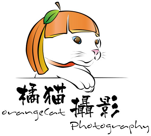 關於橘貓 | About orangeCat